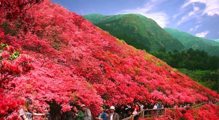 木兰云雾山